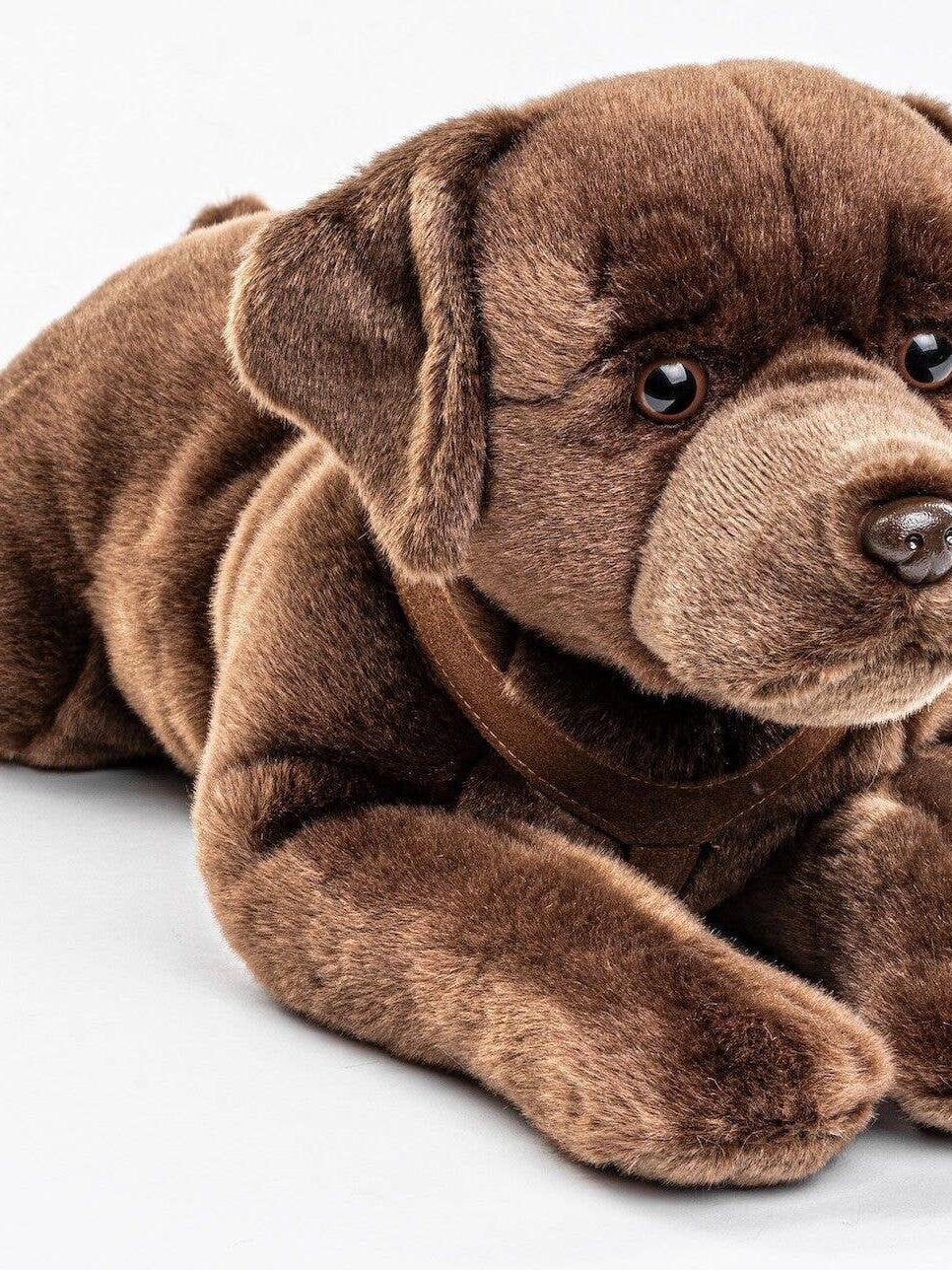 Labrador Plush, Lying with Harness, Brown, 60 cm