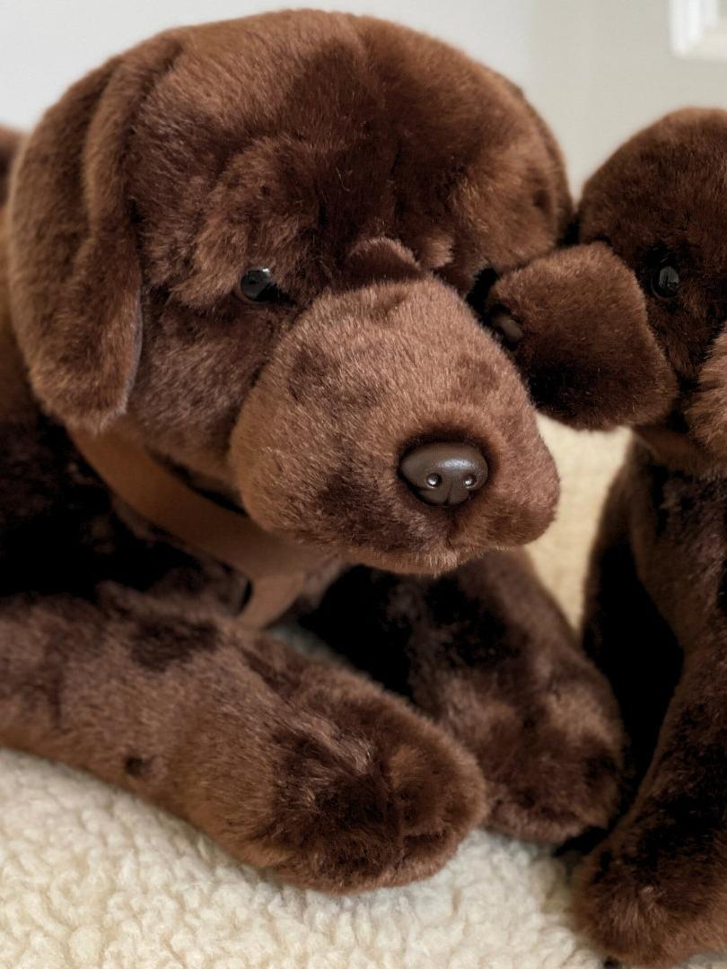 Labrador Plush, Lying with Harness, Brown, 60 cm