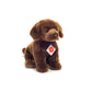 Labrador, Sitting Dark Brown, 25 cm