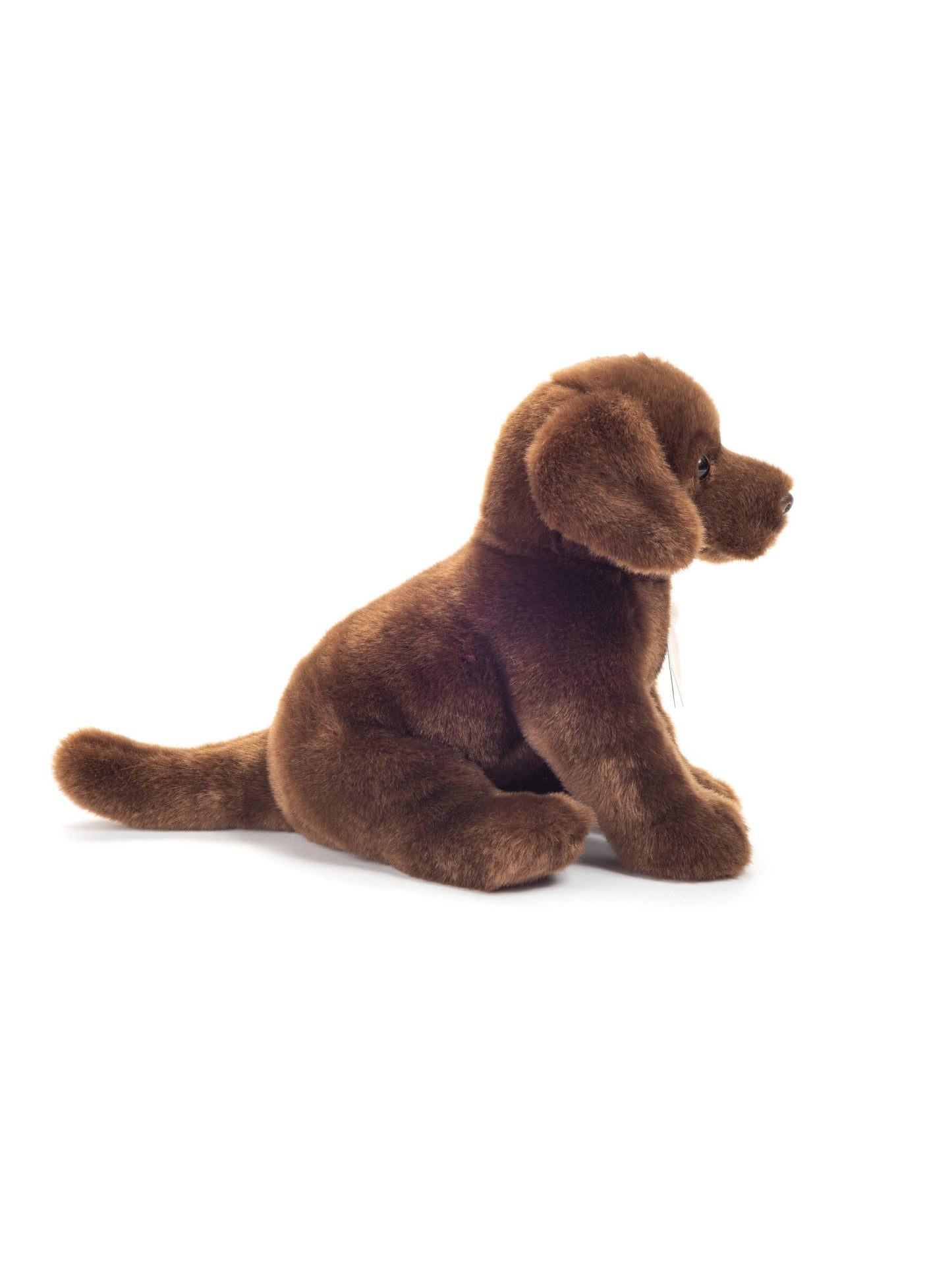 Labrador, Sitting Dark Brown, 25 cm