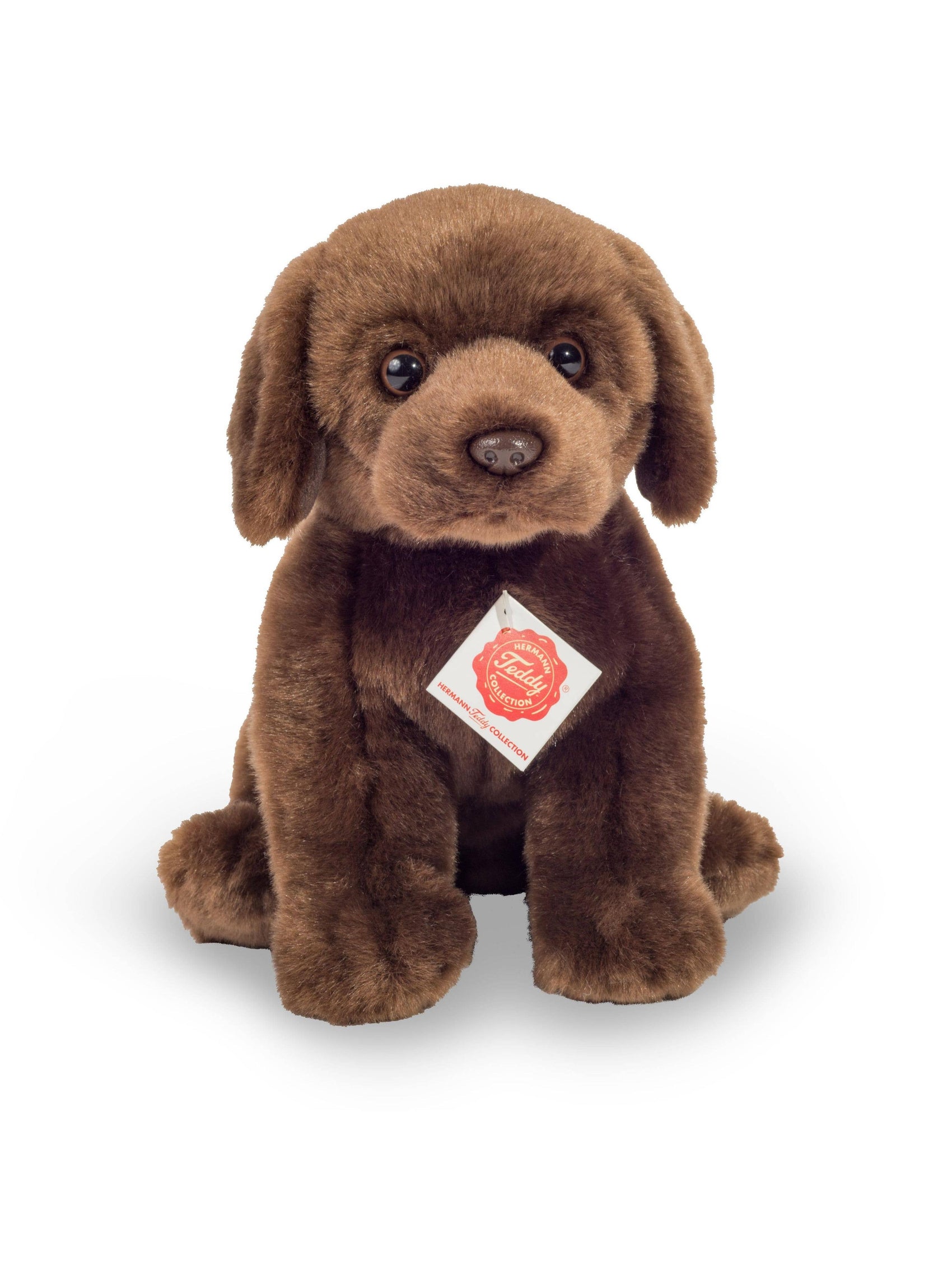 Labrador, Sitting Dark Brown, 25 cm