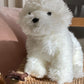 Maltese Dog Plush