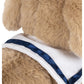 Milou Puppy, Multi