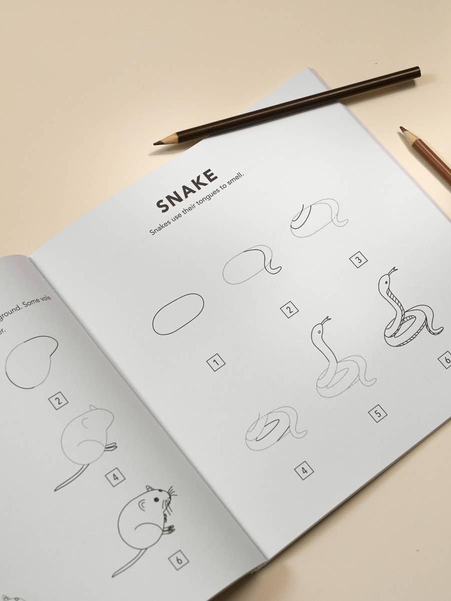 Mushrooms & Woodland CreaturesHow to Draw Book (fall)