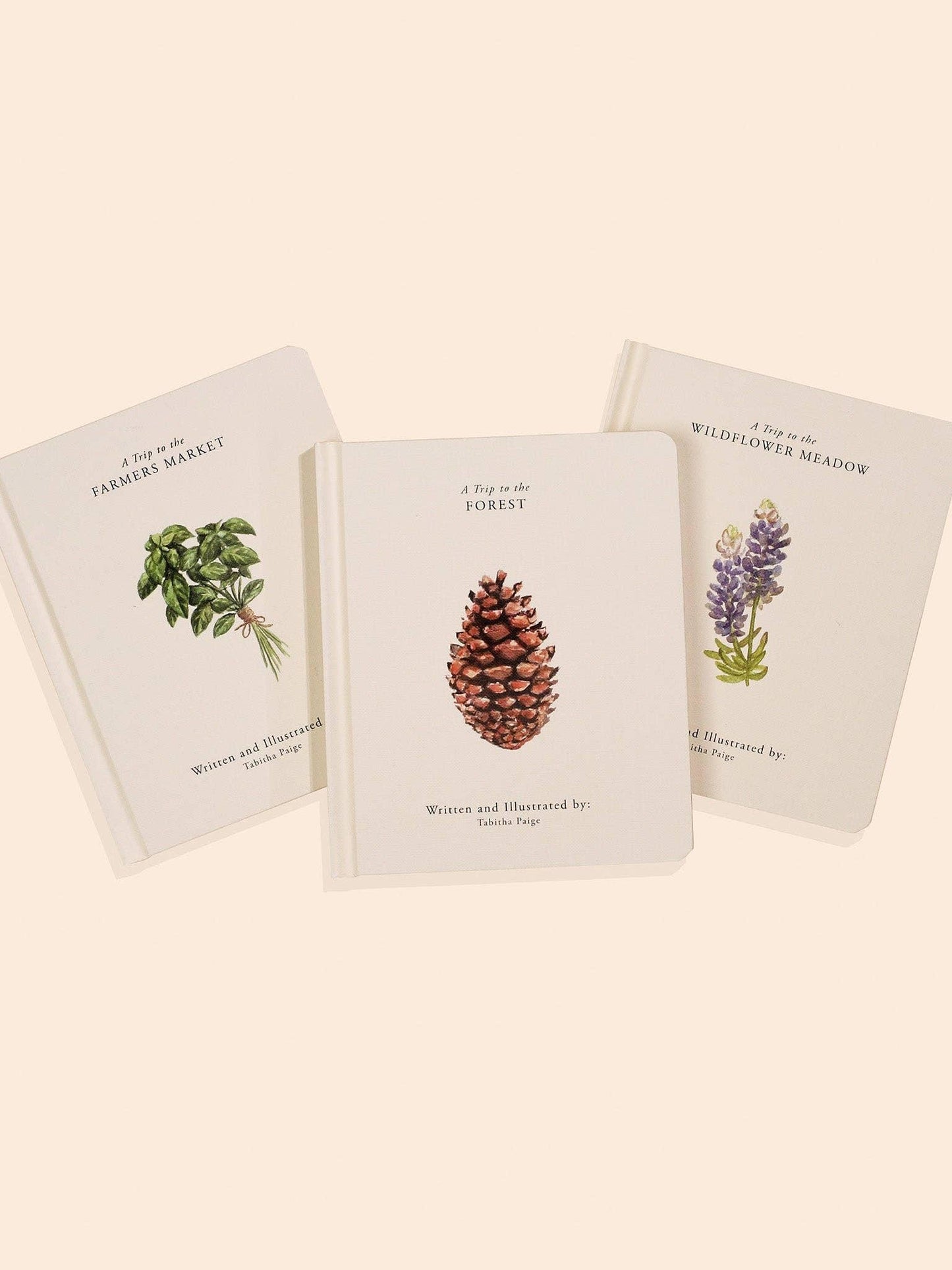 Our Little Adventures Box Set (3 Board Books)