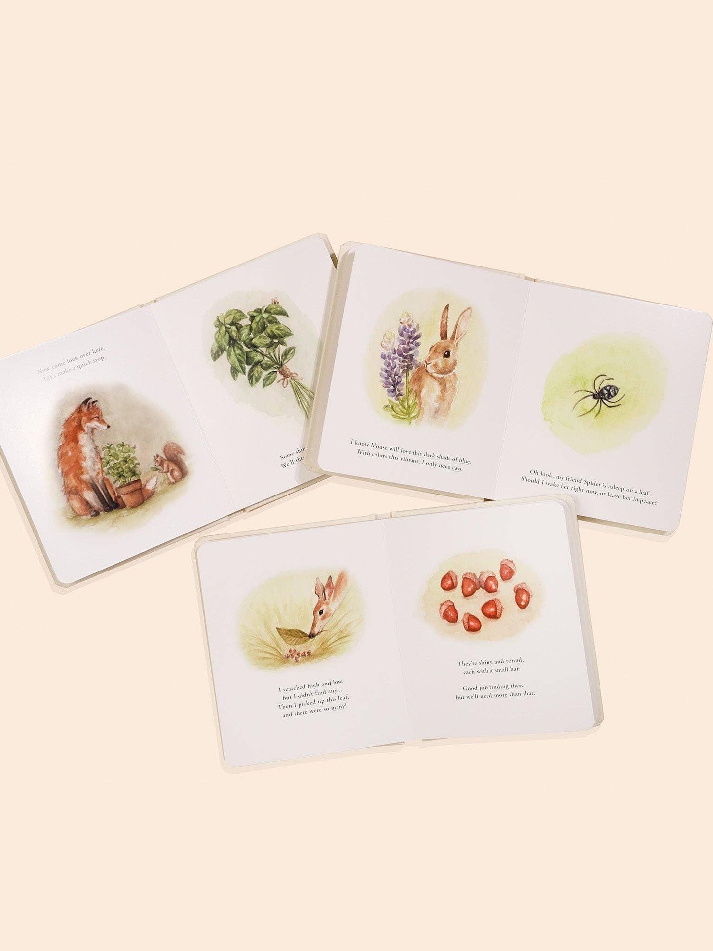 Our Little Adventures Box Set (3 Board Books)