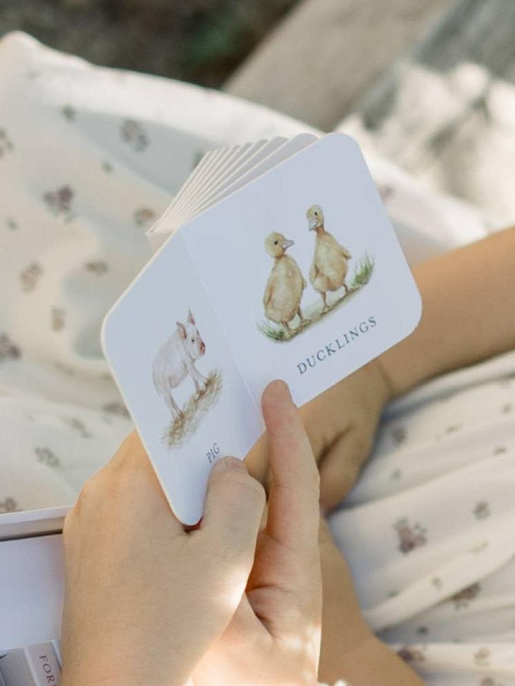 Our Very Little Library Board Book Set (10 Mini Board Books)