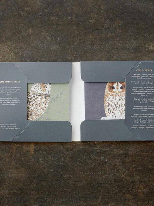 Owls, Square Card Folder, 8 Double Cards & Envelopes, Gold Print, FSC Paper