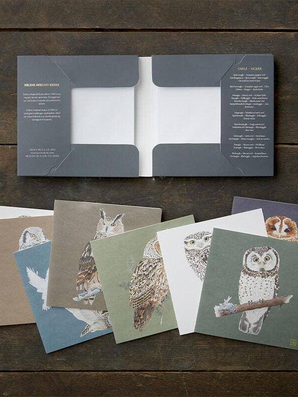 Owls, Square Card Folder, 8 Double Cards & Envelopes, Gold Print, FSC Paper
