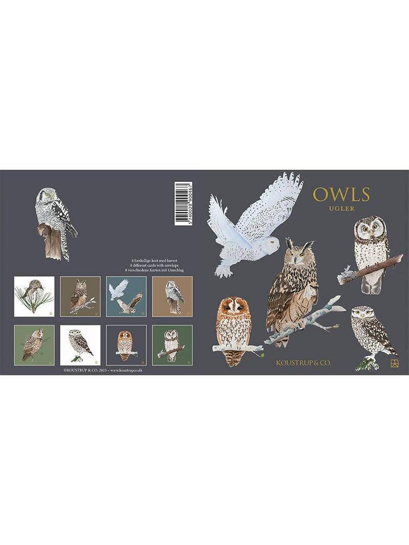 Owls, Square Card Folder, 8 Double Cards & Envelopes, Gold Print, FSC Paper