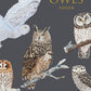 Owls, Square Card Folder, 8 Double Cards & Envelopes, Gold Print, FSC Paper