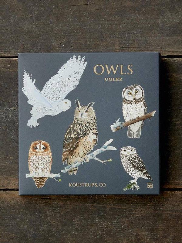 Owls, Square Card Folder, 8 Double Cards & Envelopes, Gold Print, FSC Paper