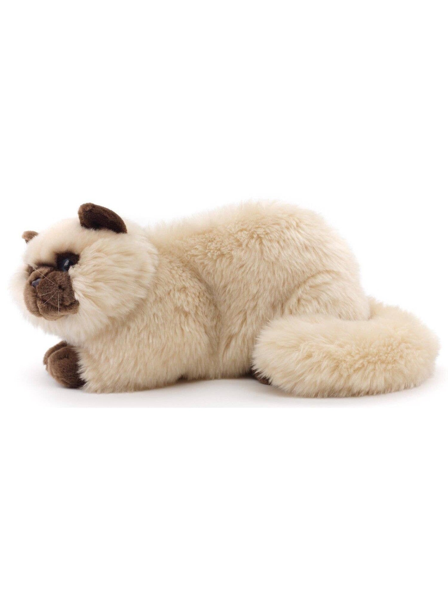 Persian Cat Plush, Beige, Lying, 31 cm