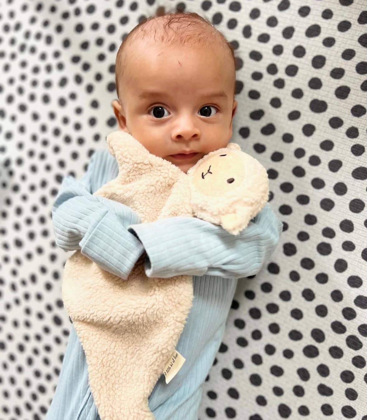 Sheep snuggle bear - Cream