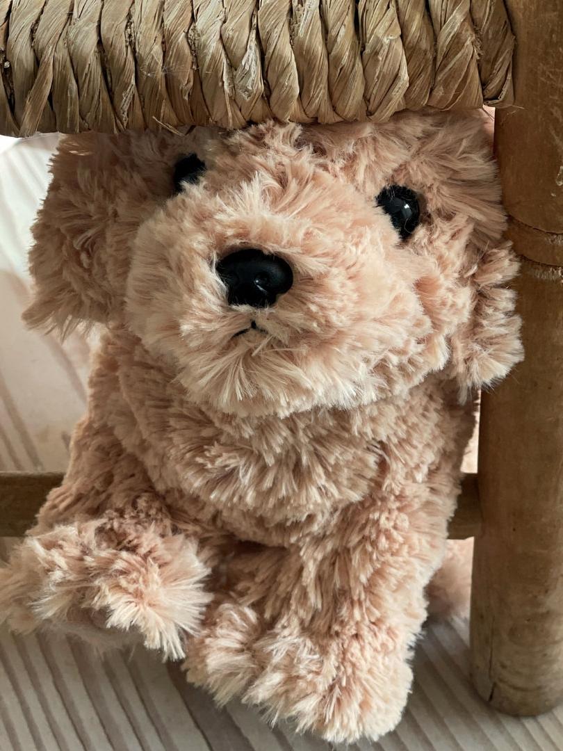 Teddy Hermann, Teddy Cockapoo Dog, 23cm