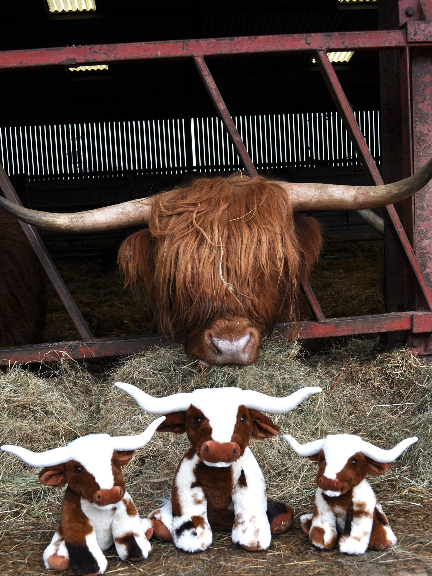 Texas Longhorn Highland Cream Brown Cow Plush Toy, 18cm