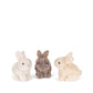Bunny Love