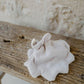 Washcloth 'Seashell'