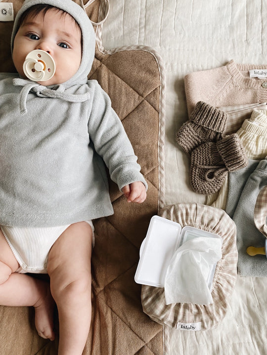 Wet Wipe Cover, Beige Gingham