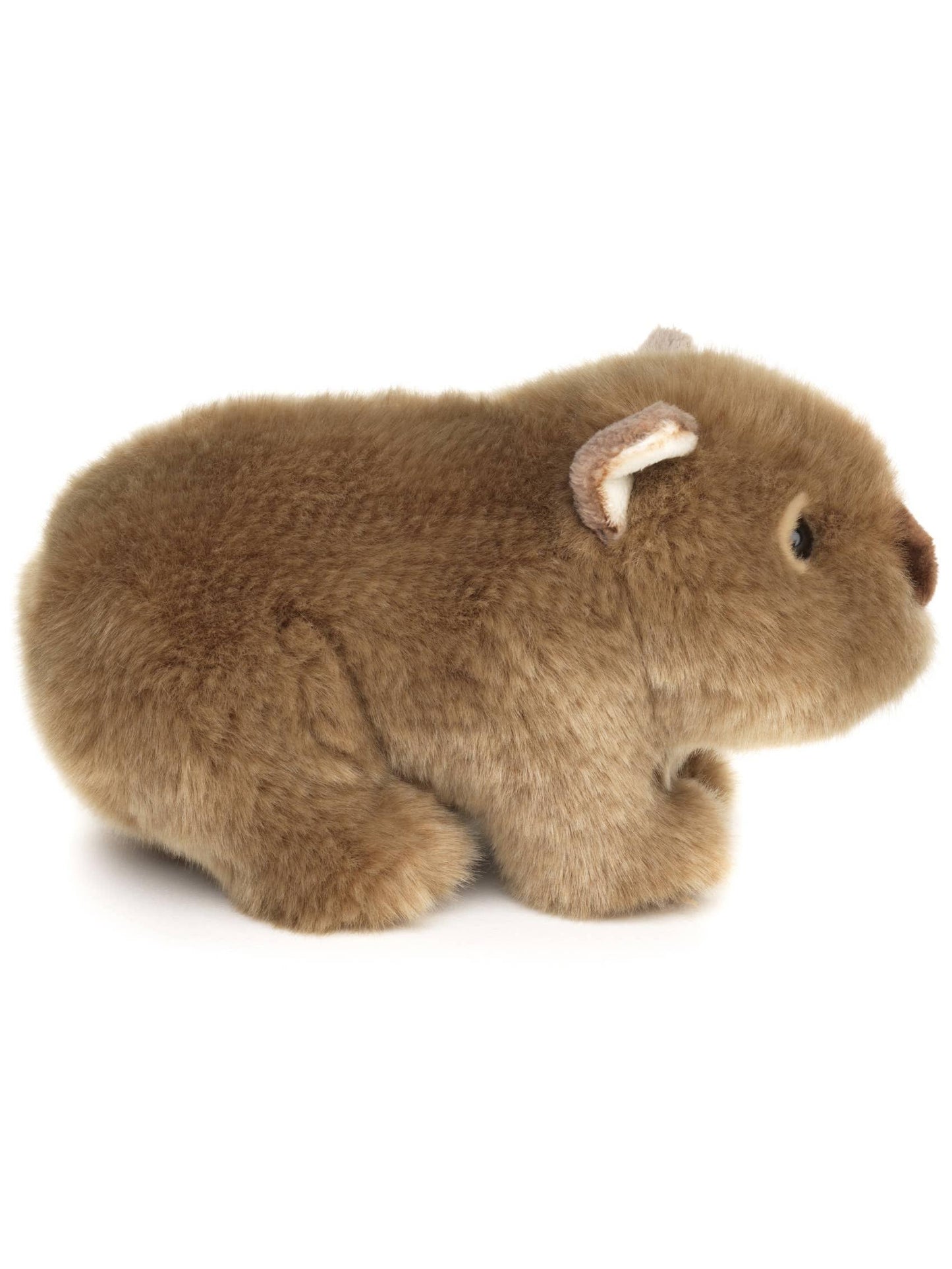 Wombat Plush, Realistic