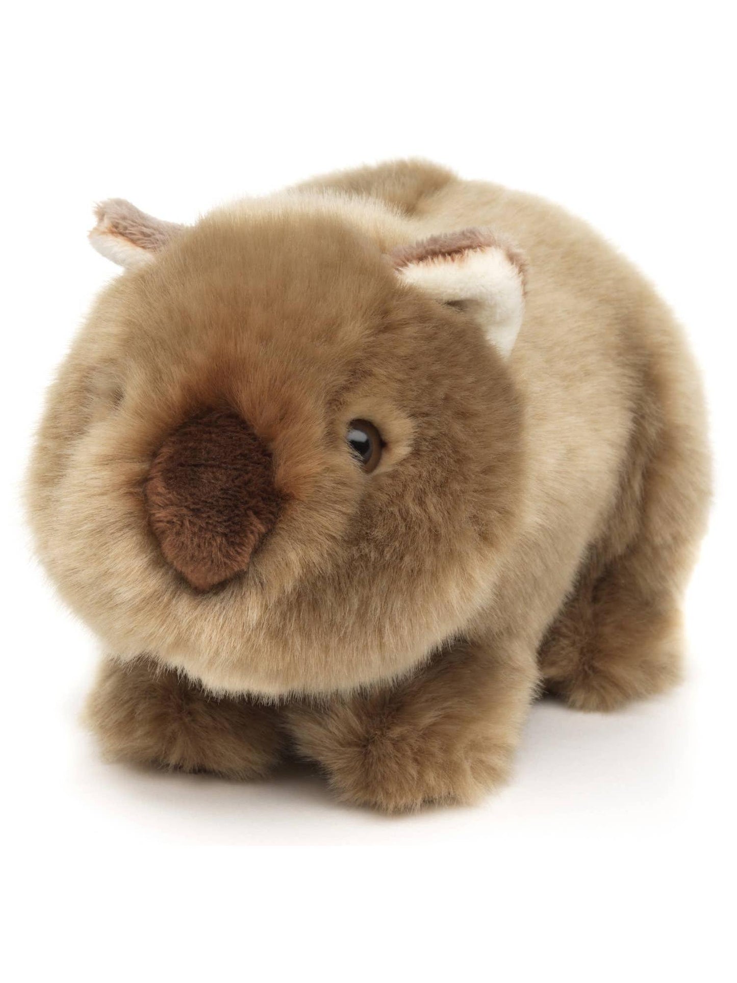 Wombat Plush, Realistic