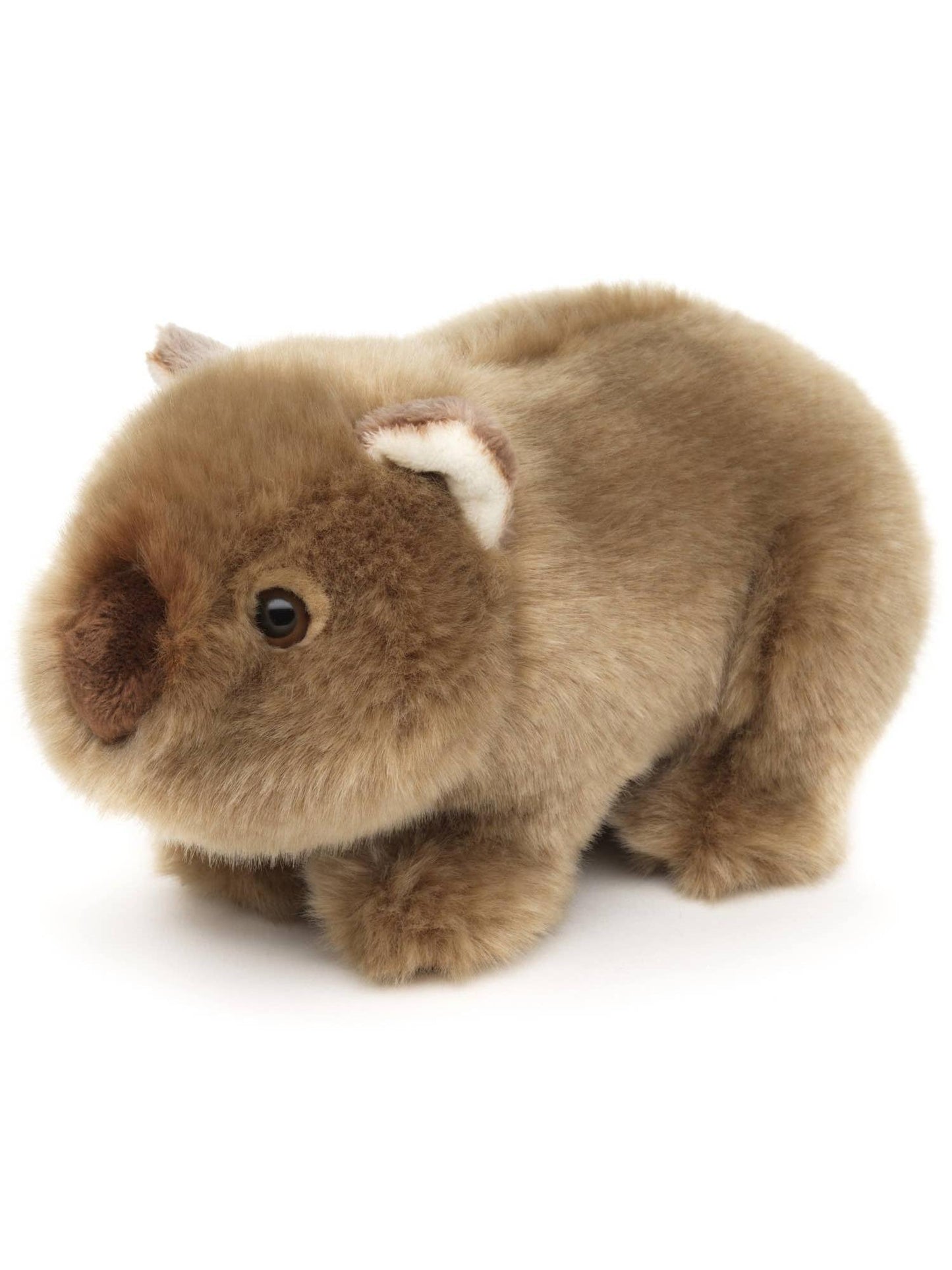 Wombat Plush, Realistic