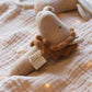 Baby Bello, Levy The Lion, Activity Toy