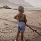 The Simple Folk, The Simple Folk, The Explorer Shorts, French Stripe