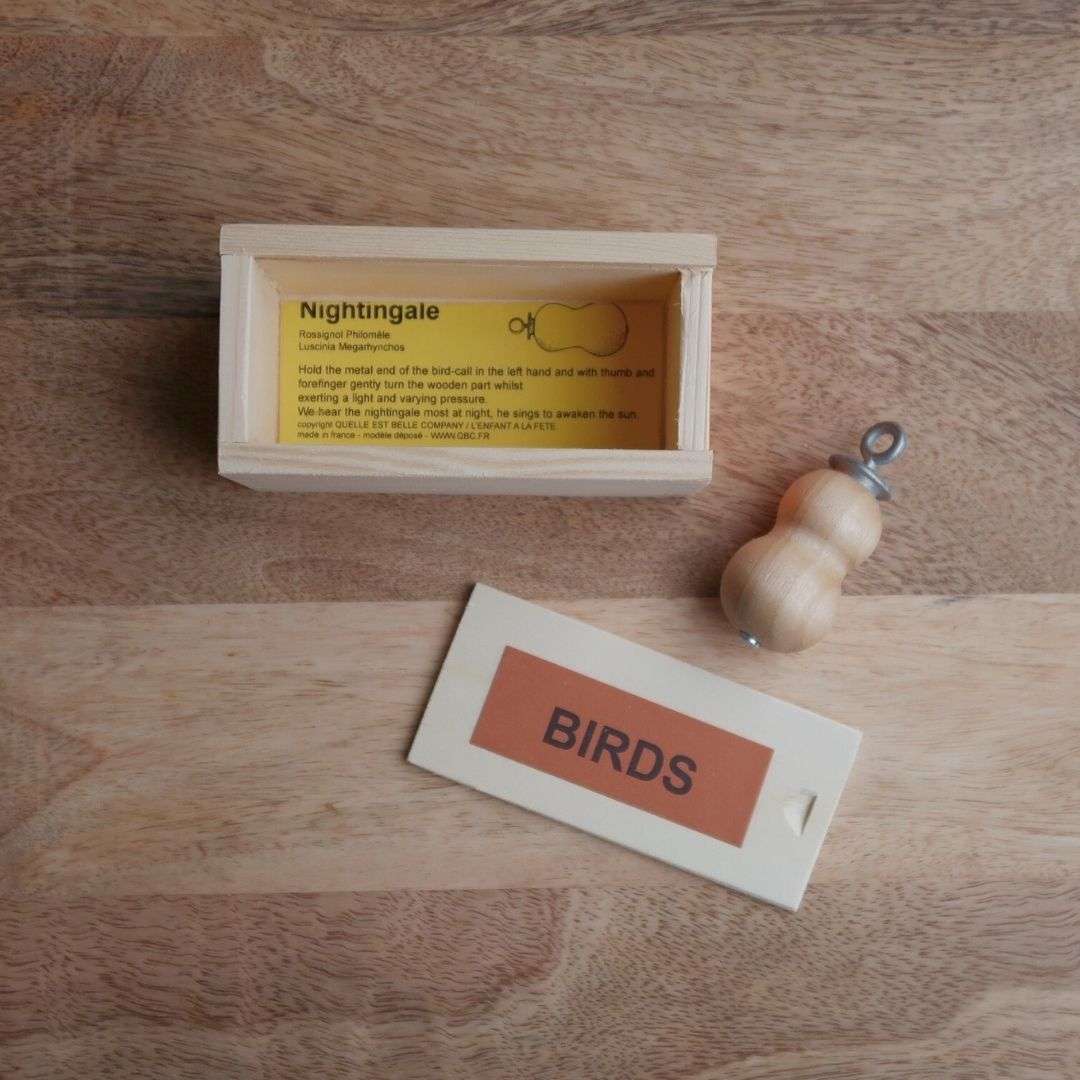 Bird Call, Nightingale, Quelle Est Belle