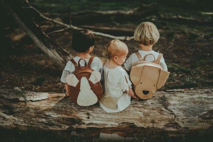 Backpack, Schoolbag, Dog, Donsje