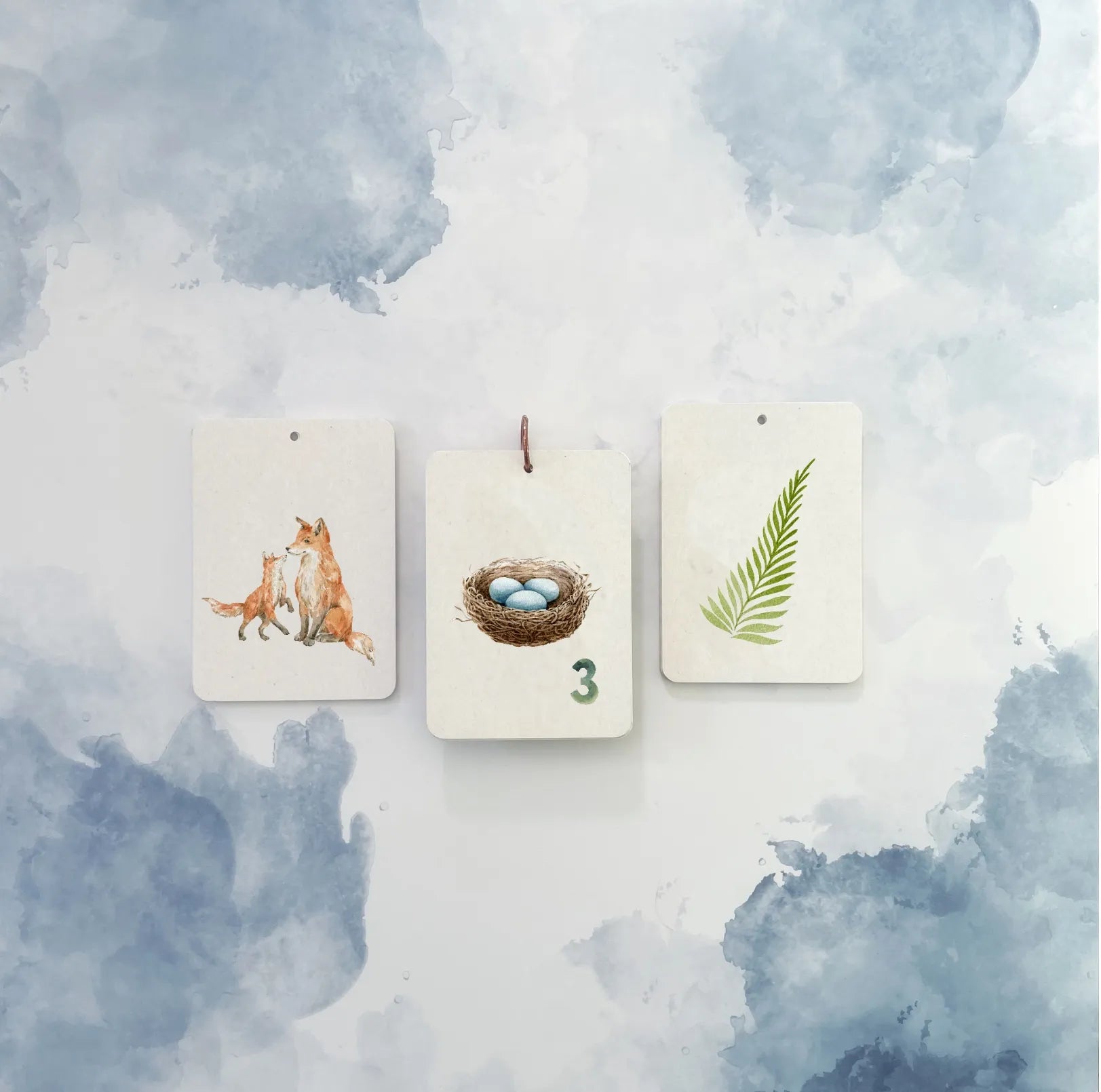 Flashcard Combi Set, Transport