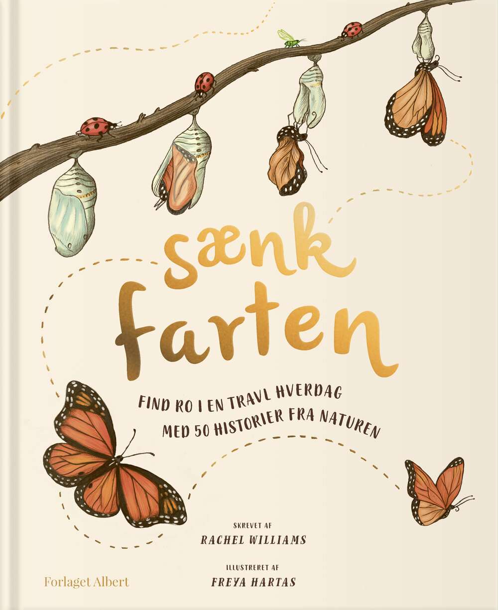 Sænk Farten, Book By Forlaget Albert