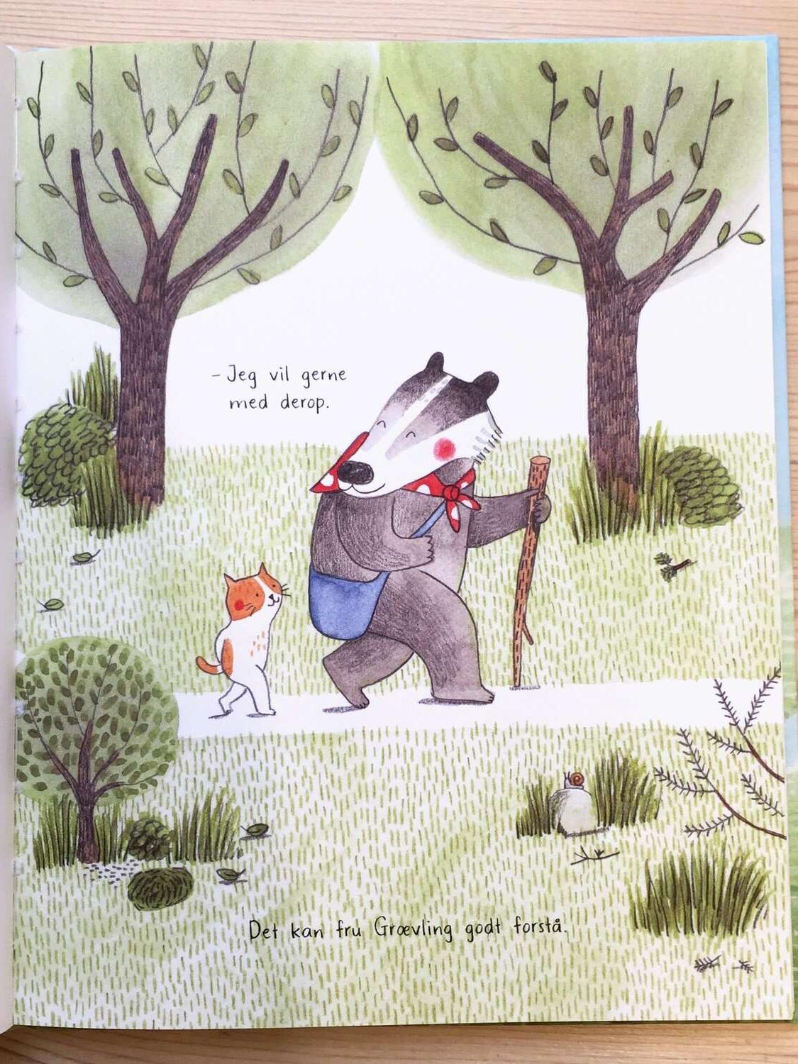 Stien På Bjerget, Book By Forlaget Albert