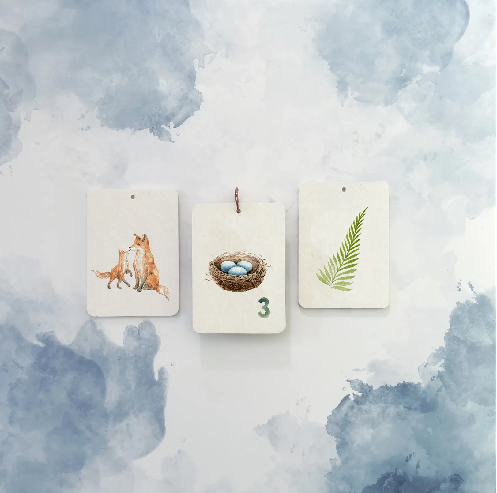 Flashcard Combi Set, Woodland Friends